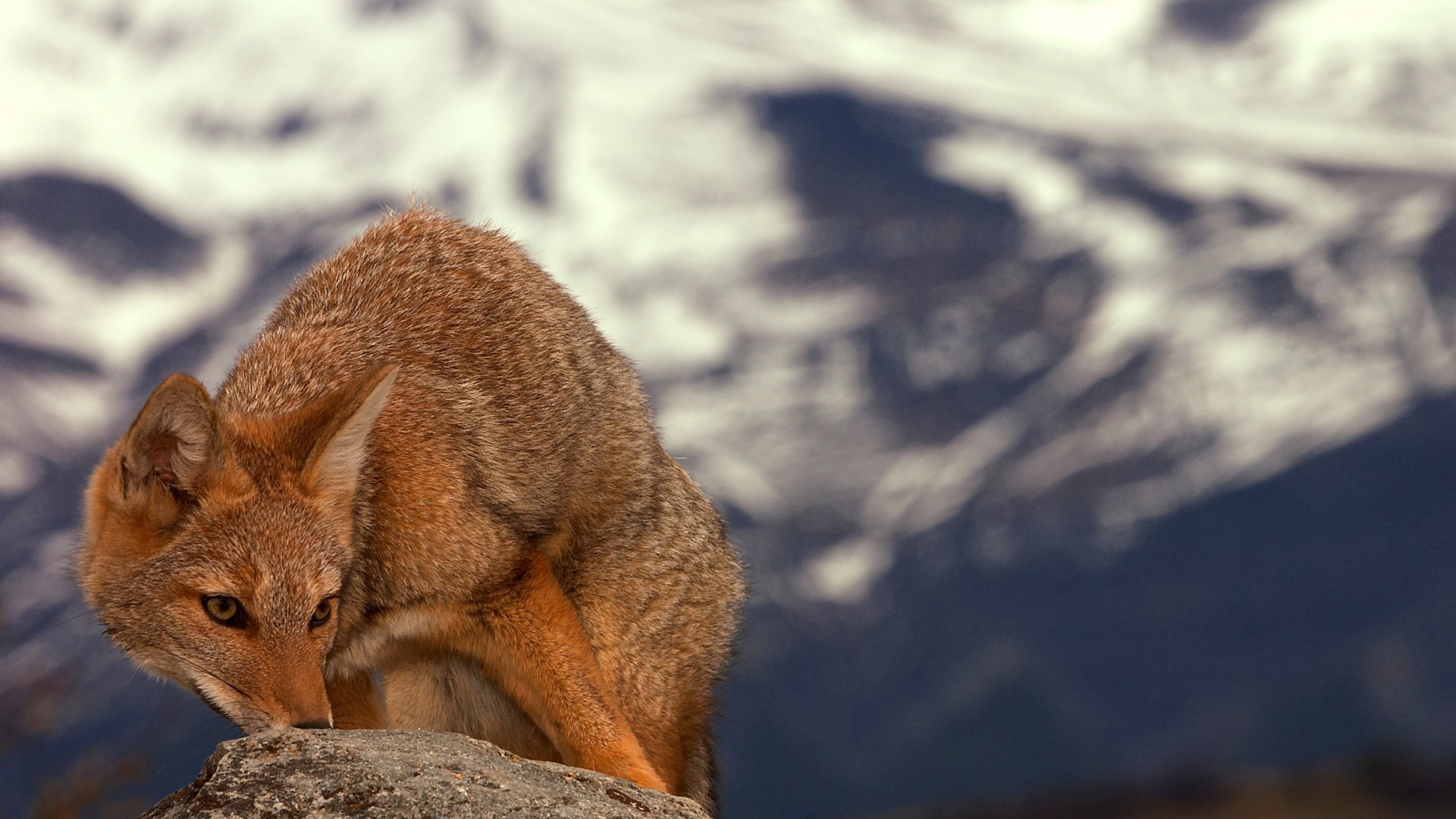 Patagonien rau und wild